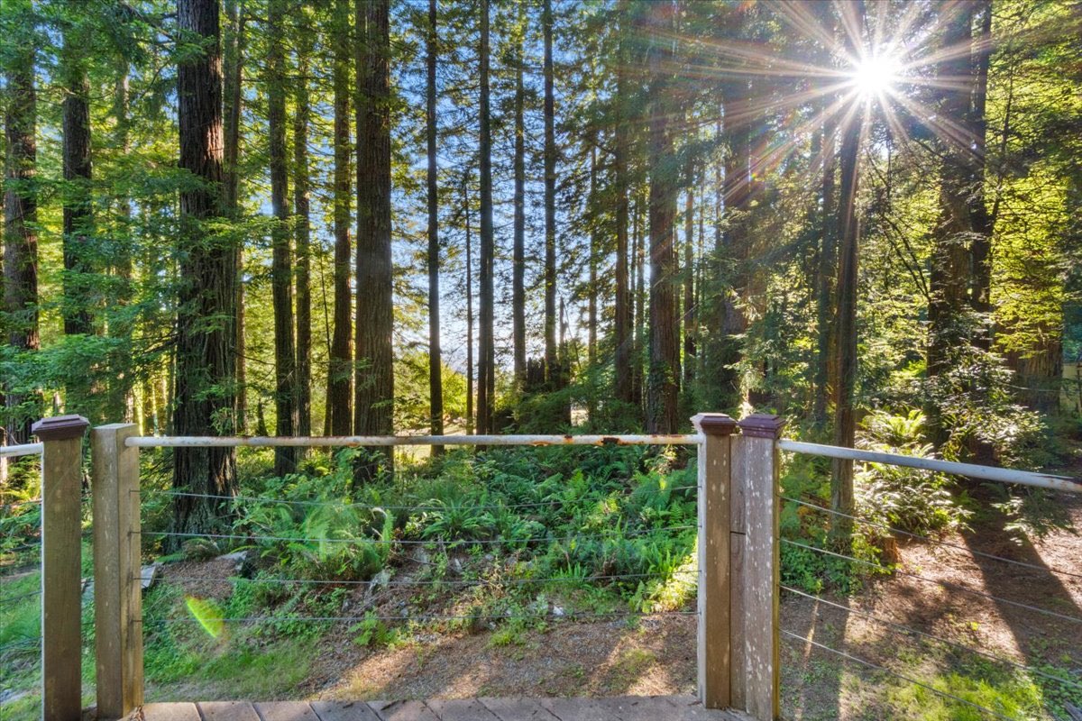 222 Simmons Ln, Arcata, CA — photo 79 of 102