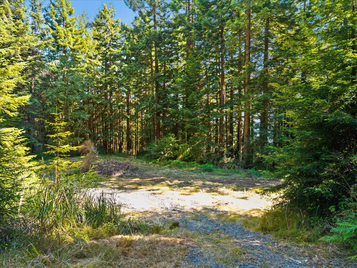 222 Simmons Ln, Arcata, CA — photo 85 of 102