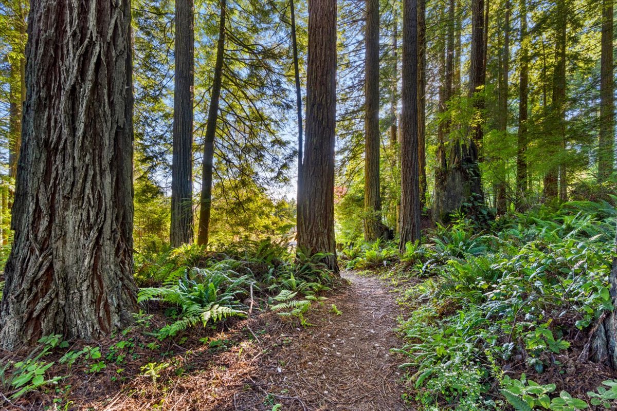 222 Simmons Ln, Arcata, CA — photo 95 of 102